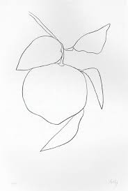 Log In Ellsworth Kelly Plant Drawing Ellsworth