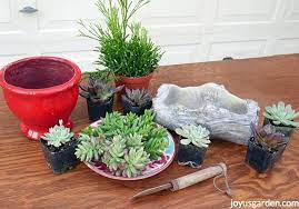 Here's how to make an indoor cactus garden, done 2 different ways. How To Plant Water Succulents In Pots Without Drain Holes