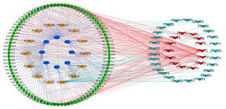 Orange represents kidney cancer and leukemia. Medical Sciences Free Full Text Network Pharmacology Approach Reveals The Potential Immune Function Activation And Tumor Cell Apoptosis Promotion Of Xia Qi Decoction In Lung Cancer Html