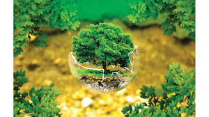 Maybe you would like to learn more about one of these? World Nature Conservation Day 2020 Small Steps We Should Follow To Protect And Conserve Nature