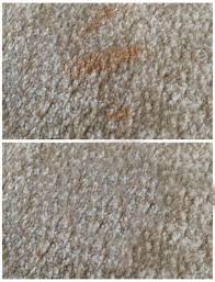 How To Clean A Wool Rug Large Wool Rugs Wool Rug Rugs