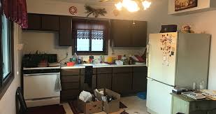 old cabinets, new kitchen project by