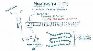 Huntington S Disease Serious Science