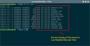 I checked all docs available for pages '08 and all i get are infos on bullets, numbers.etc. How To Sort Output Of Ls Command By Last Modified Date And Time