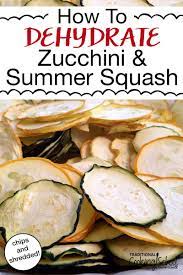 Maybe you would like to learn more about one of these? How To Dehydrate Zucchini Summer Squash