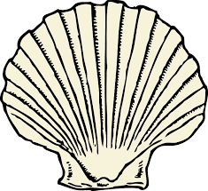 Free Image On Pixabay Scallop Clam Shell Seashell Seashell Clipart Art Shell Drawing