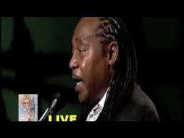 TED THE WIZARD MILLS