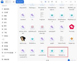 IDA Pro 9.1 安装教程| S4lix's Blog