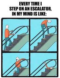 Your browser does not support the video tag. Escalator Memes