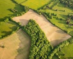 Sharply sloped or hilly areas will require regrading. How Much Does Land Cost Per Acre In Virginia