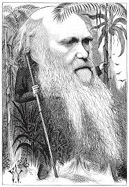 STEPHEN K. SANDERSON