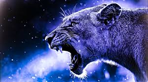 Blue Lion Hd Wallpaper By Millowarts On Deviantart Blue Lion Free Colorful Lion Lion Hd Wallpaper Lion Wallpaper Find the best lion wallpaper desktop on getwallpapers. blue lion hd wallpaper by millowarts on