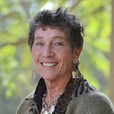 Zoom or Phone Consultations