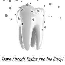 Teethandgumfacts Fact 4 Teeth Are Porous They Are Affected From The Outside In By Food Drink And Dental Products Many Of These Body Health Dental Facts