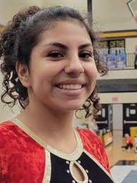 Greater Lansing high school gymnastics Dream Team, all-area