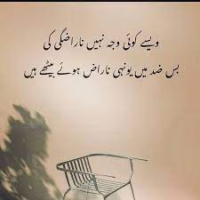 Narazgi Ki Koi Wajah Nahi Bas Zid Me Naraz Bethe Hen Poetry English Quotes Urdu Poetry