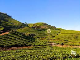 Add interesting content and earn coins. Vagamon That Off Beat Hill Station Of Kerala Where Rolling Hills And Tea Estates Meet Be On The Road Live Your Travel Dream