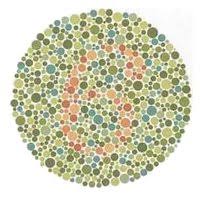 Color Blind Test Test Color Vision By Ishihara Test For