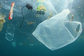Even Deep Sea Creatures Are Eating Plastic Upi Com Click on each of the images to bring up an information screen from the computer's database. even deep sea creatures are eating