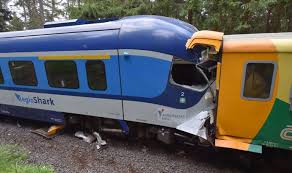 Žena se vážně zranila v těžce přístupném terénu; Srazka Vlaku Na Karlovarsku Nejmene Tri Lide Zemreli E15 Cz
