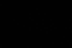 Find & download free graphic resources for black background. Black Background Free Stock Photo Public Domain Pictures