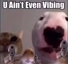 Pin By Ni On My Mom Stupid Memes Funny Relatable Memes Stupid Funny Memes