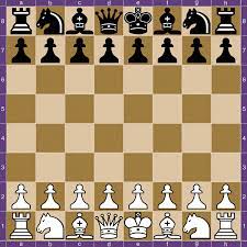 In both cases a rook occupying such a file gets greater vertical mobility as well as a chance to penetrate the enemy camp. Chess Theory Wikipedia