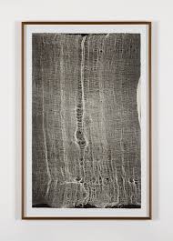 Bildergebnis für Maria Laet