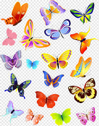 Decorate with glitter and any other found objects in your home. Butterfly Modern Colorful Butterfly Color Splash Brush Footed Butterfly Color Pencil Png Pngwing