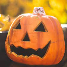 Cute litte black kitten with halloween items. How To Halloween Your Profile Picture 6 Wicked Ways