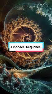 Fibonacci Sequence | TikTok