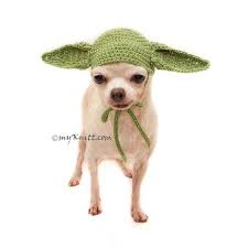 Funny Master Jedi Hat For Dog Cat Cosplay Dog Costume Etsy Puppy Costume Crochet Dog Hat Dog Hat