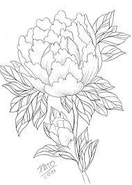 Peony 2 By Patoink D3iq3zq Jpg 638 891 Peony Drawing Flower Line Drawings Drawings