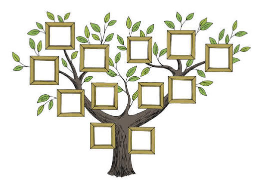 80+ Empty Family Tree Cartoon Illustrations - iStock