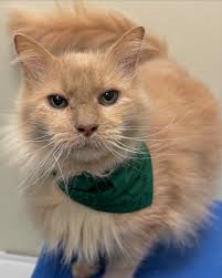 We hope you have a safe and happy Fourth of July! 🎆 🎇 We are CLOSED today  and will reopen at 8am Friday July 5th