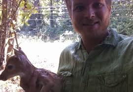 Alabama man finds baby deer laying in roadway, returns it to the woods