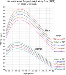 Peak Expiratory Flow Wikipedia