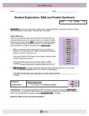 Check spelling or type a new query. Gizmo 5 Rna Proteinsynthesis Pdf Name Date Student Exploration Rna And Protein Synthesis Inq 12 Com Vocabulary Amino Acid Anticodon Codon Gene Course Hero