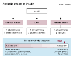 hyperglycemic emergencies diabetic ketoacidosis and