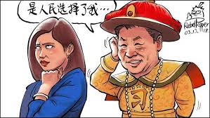 缩略图图片