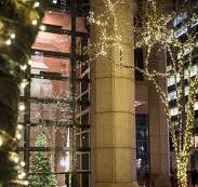 Plaza Holiday Lighting | Award-Winning NYC Landscape
