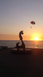 Caballito En Puerto Vallarta Mexico Puerto Vallarta Puerto