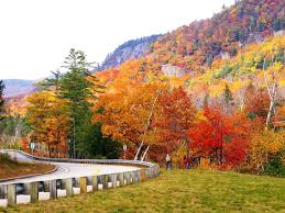 Image result for Massachusetts fall scenery