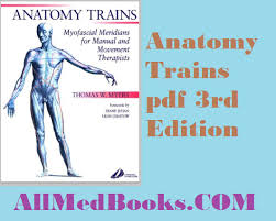 Biology How Life Works 3rd Edition Pdf Free Download Anatomy Trains Pdf Free 3rd Edition Train Book Anatomy Critical Care Nursing