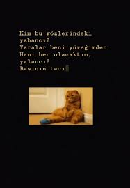Duygu Adli Kullanicinin Fake Story Panosundaki Pin Komik Seyler Komik Guzel Soz