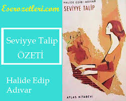 Seviyye Talip Roman Ozeti Halide Edip Adivar Eser Ozetleri