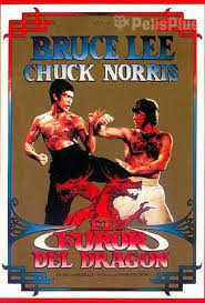 Ver Jumanji 2 En La Selva 2017 Online Latino Hd Pelisplus Fotos De Bruce Lee Carteles De Cine Mejores Carteles De Peliculas