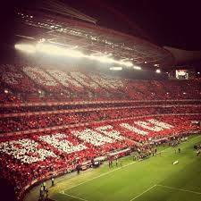 Soccer Game In Portugal Soccer Stadium Soccer Lisbon Travel Guide