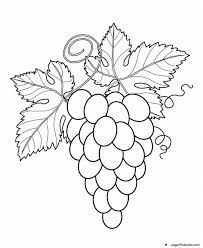 Free vegetables and fruits coloring pages to print for kids. Frutas Para Pintar Fruit Coloring Pages Leaf Coloring Page Vegetable Coloring Pages