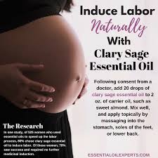 Pin On Pregnancy And Babies